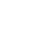 Network leadership icon